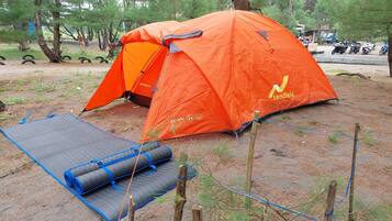 Deluxe tent | Woonruimte