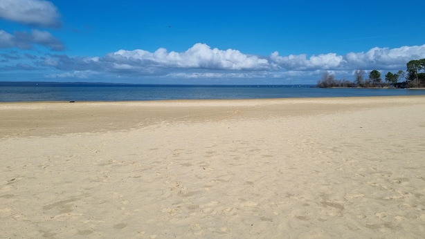 Una extensa playa de arena con un cielo azul despejado y árboles a lo lejos.