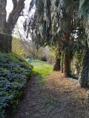 المنطقة المحيطة بالمنشأة