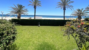 Ein gepflegter Rasen mit einer Hecke, Palmen und Blick auf den Strand und das Meer.