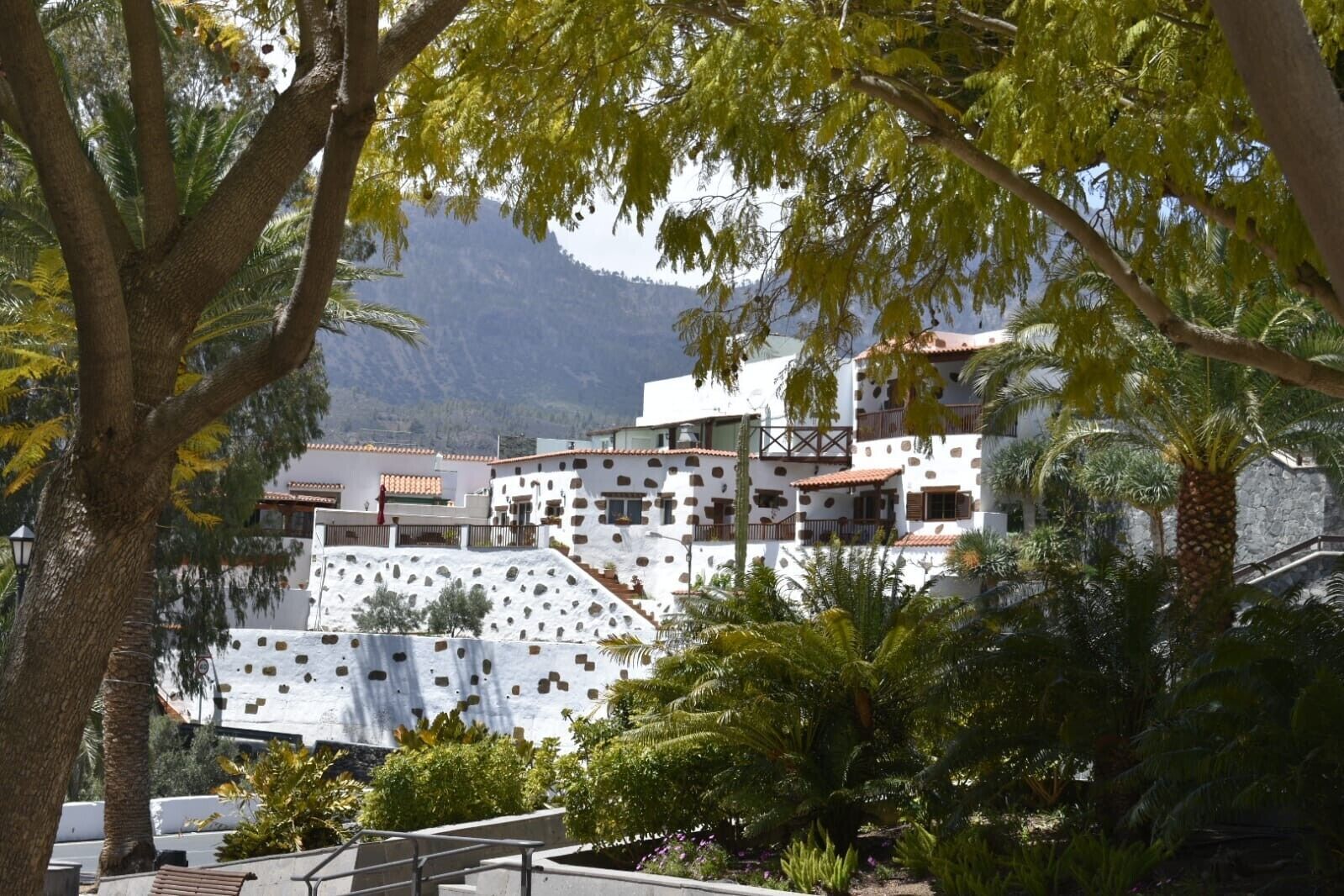 Un bâtiment blanc à l’architecture originale, caractérisé par un motif particulier dans la pierre, entouré d’une végétation luxuriante et adossé à une montagne.