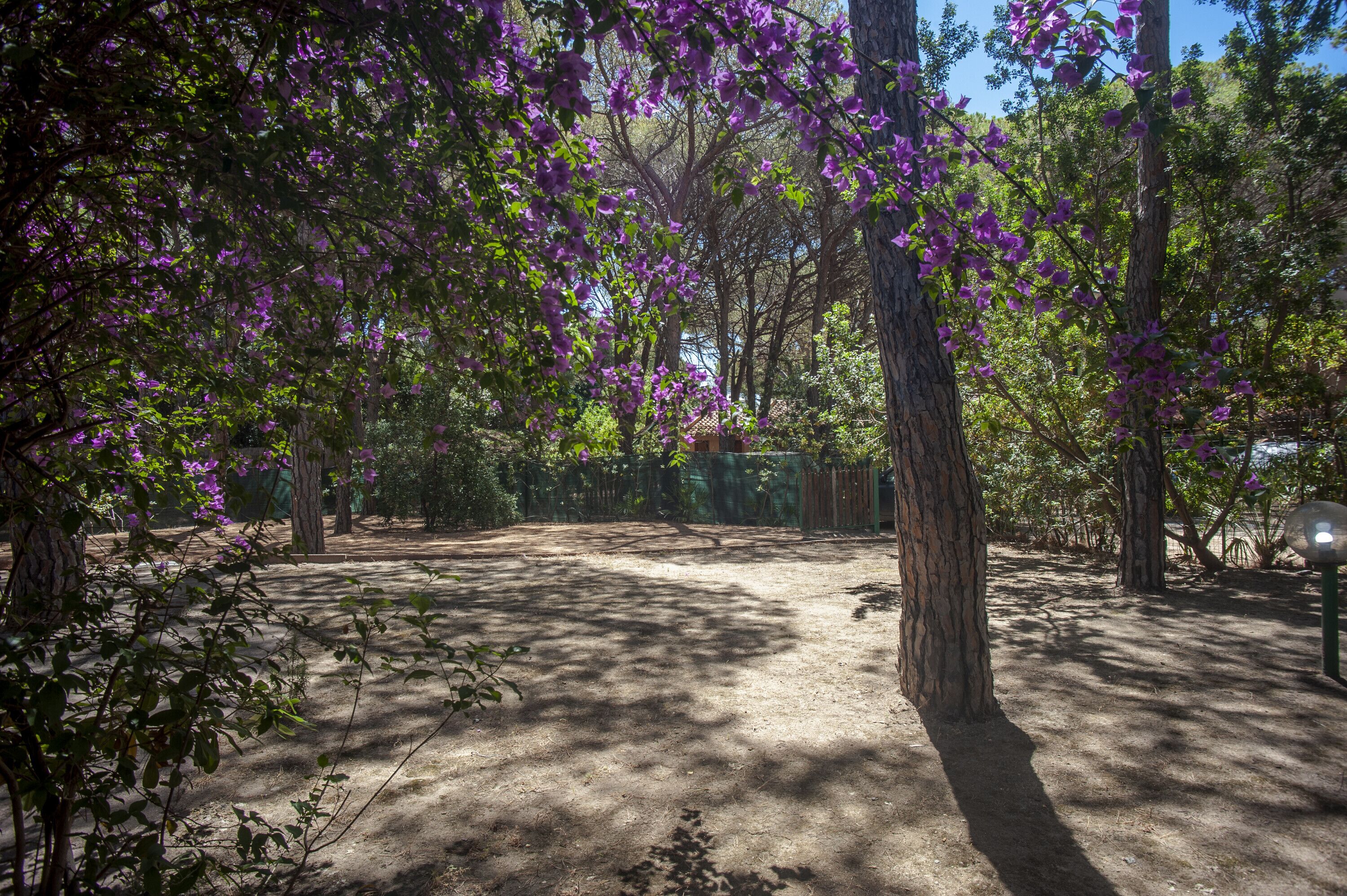 Parco della struttura