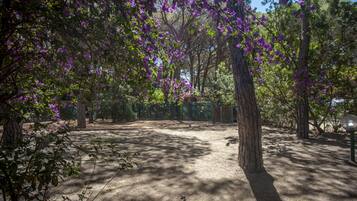 Parco della struttura