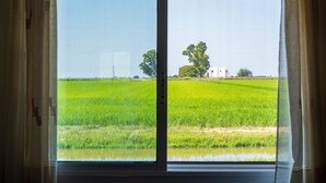 A window with a view of a green field and a building in the distance.