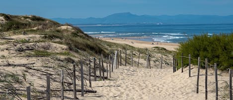 A sandy beach path leading to the ocean with a clear sky.