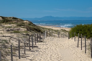 A sandy beach path leading to the ocean with a clear sky.