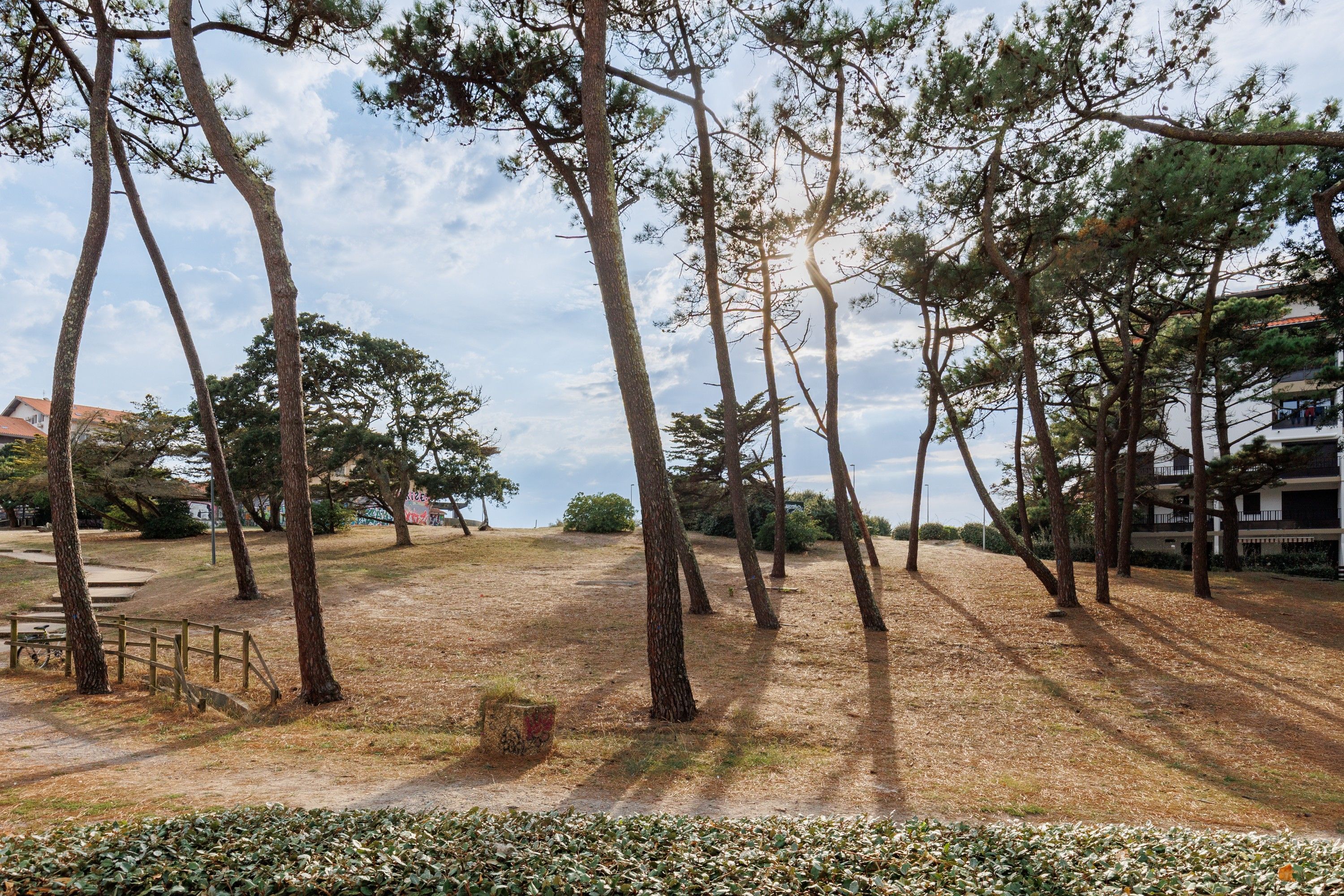 Un parc avec de grands arbres, un sentier de terre et un bâtiment en arrière-plan.