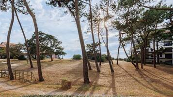Un parc avec de grands arbres, un sentier de terre et un bâtiment en arrière-plan.
