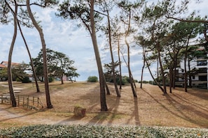 Een park met hoge bomen, een onverhard pad en een gebouw op de achtergrond.
