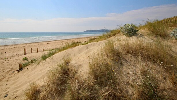 A beach with sand dunes and a clear sky.