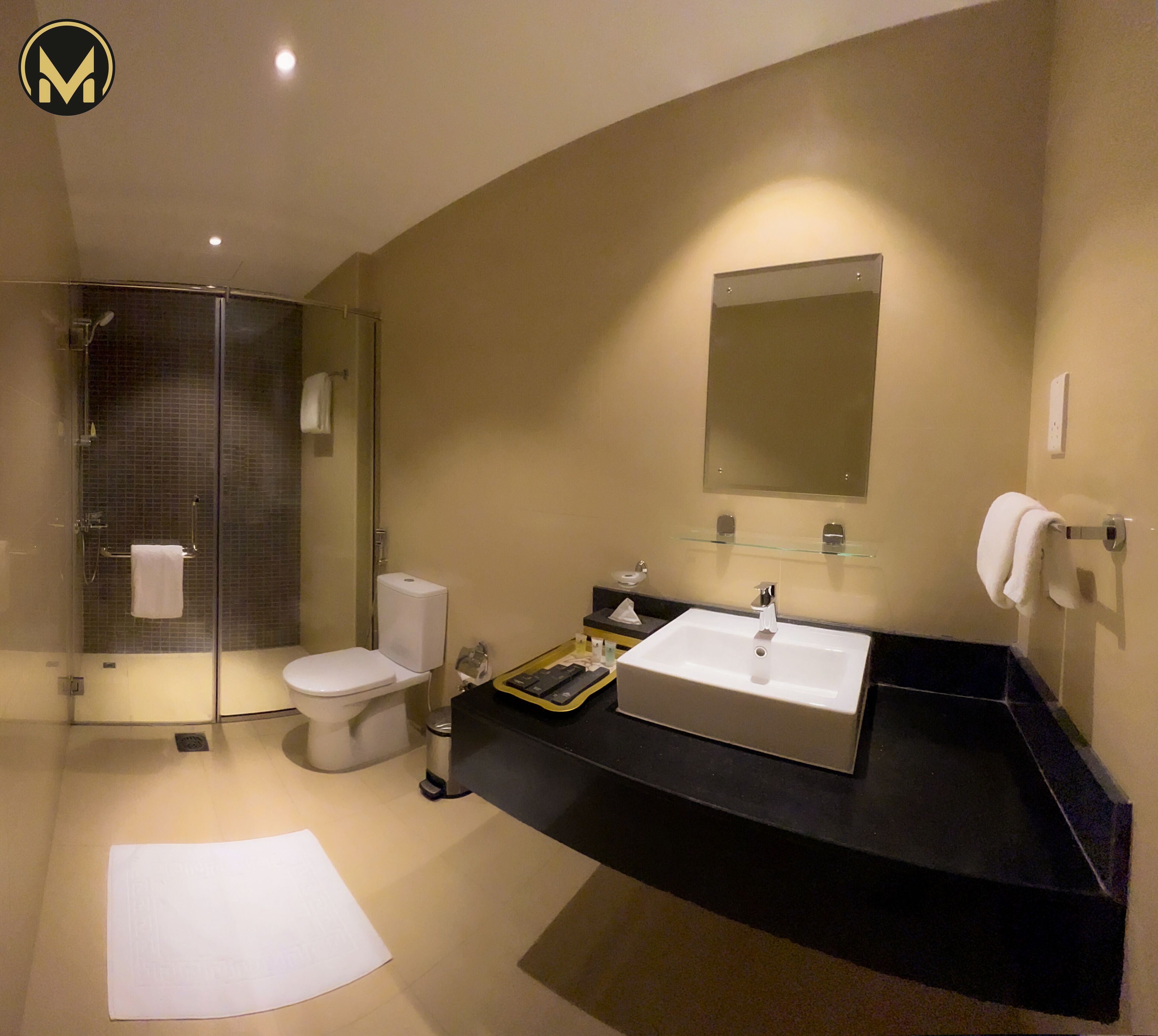Une salle de bain moderne avec une douche à parois de verre, des toilettes, un lavabo avec un miroir au-dessus et un porte-serviettes.