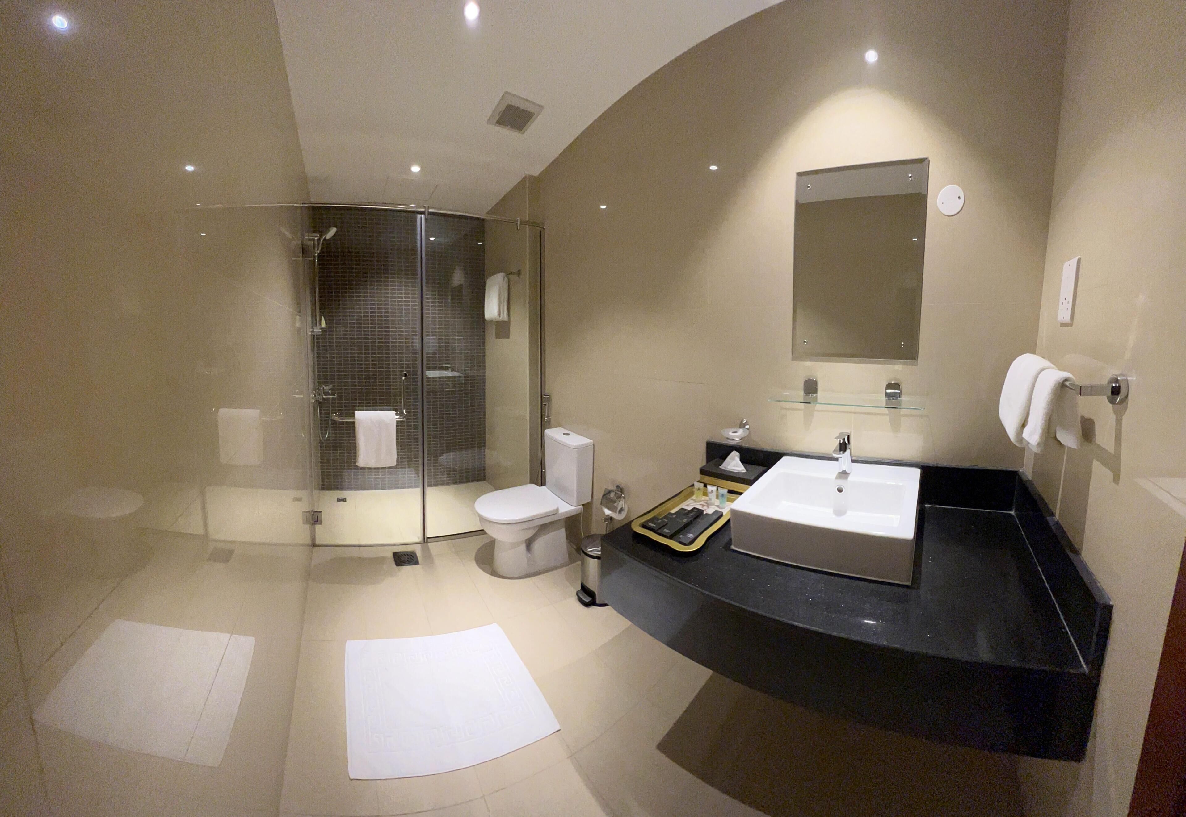 A modern bathroom with a glass-enclosed shower, a white toilet, a sink with a black countertop, and a mirror above the sink.