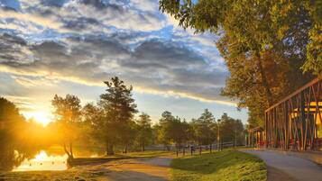 En la playa, camastros y bar en la playa