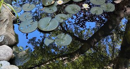 The Lily Pond Cottage, Lake Arrowhead, CA