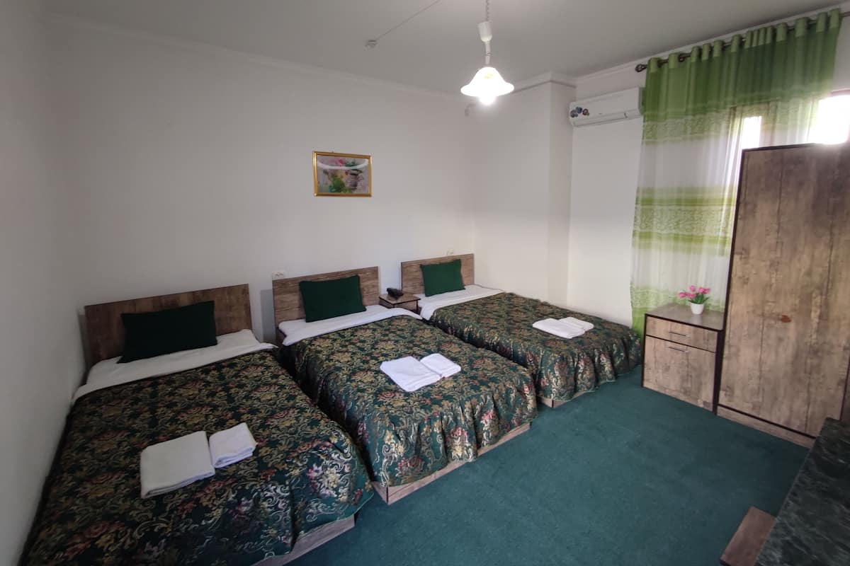 Economy Triple Room | View from room
