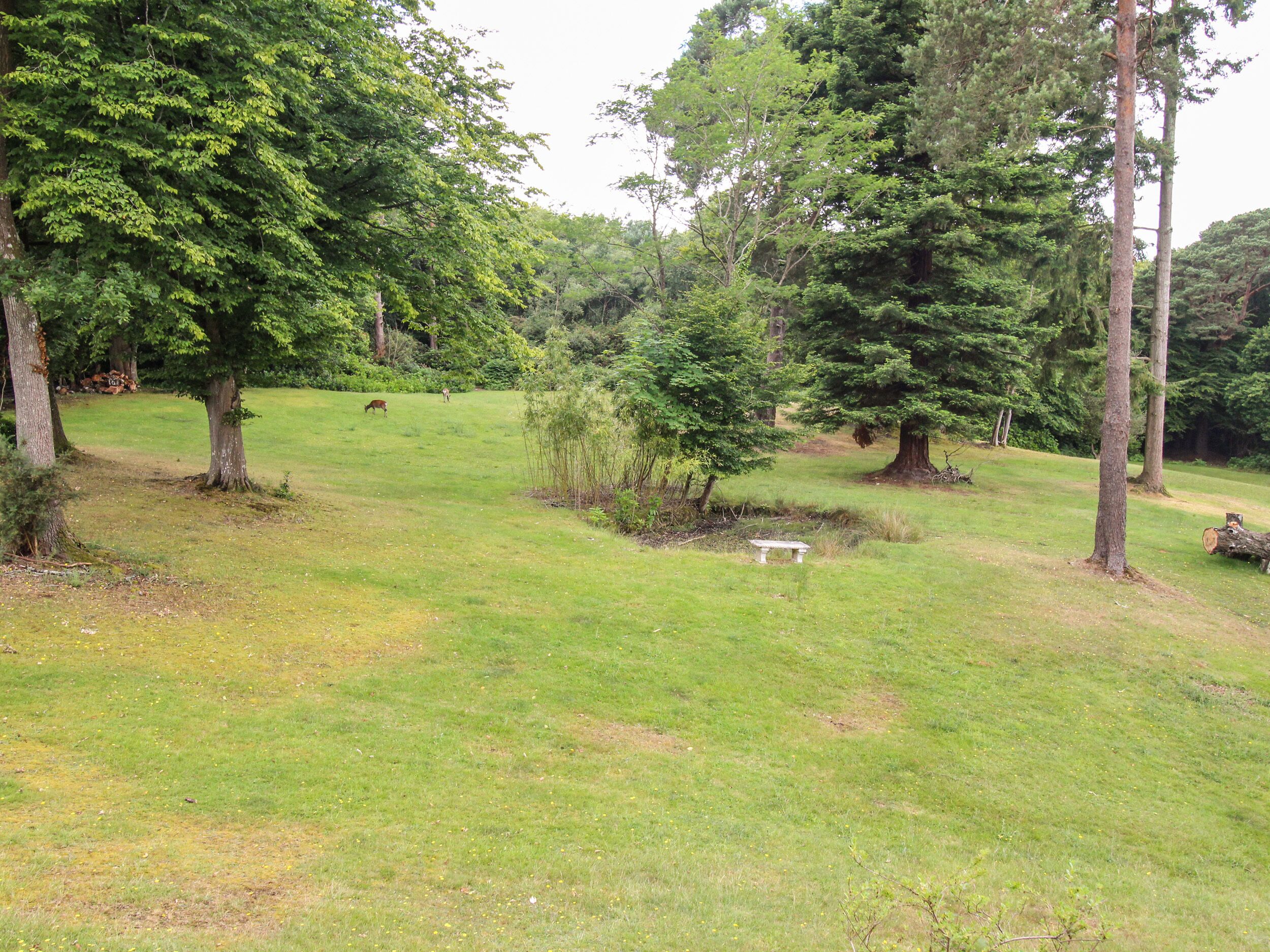 Un campo cubierto de césped con árboles y un banco de piedra.