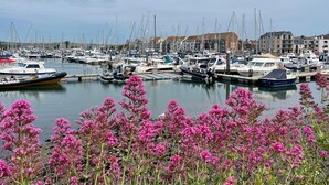 A marina with numerous boats docked, surrounded by buildings and pink flowering plants in the foreground. - Deer Leap House (Dorchester)
