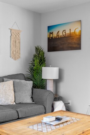 Televisión, chimenea y videoteca 