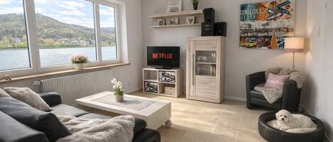 TV connectée, livres, chaîne hi-fi