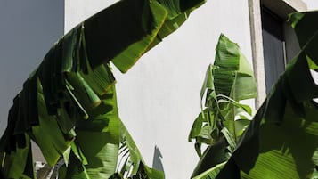 Diseño del edificio