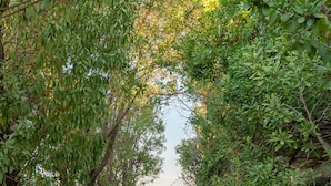 A gravel pathway flanked by stone walls and dense foliage leading to a body of water. - WLofts 12 by Klodge - cozy design holiday suite (Olbia)