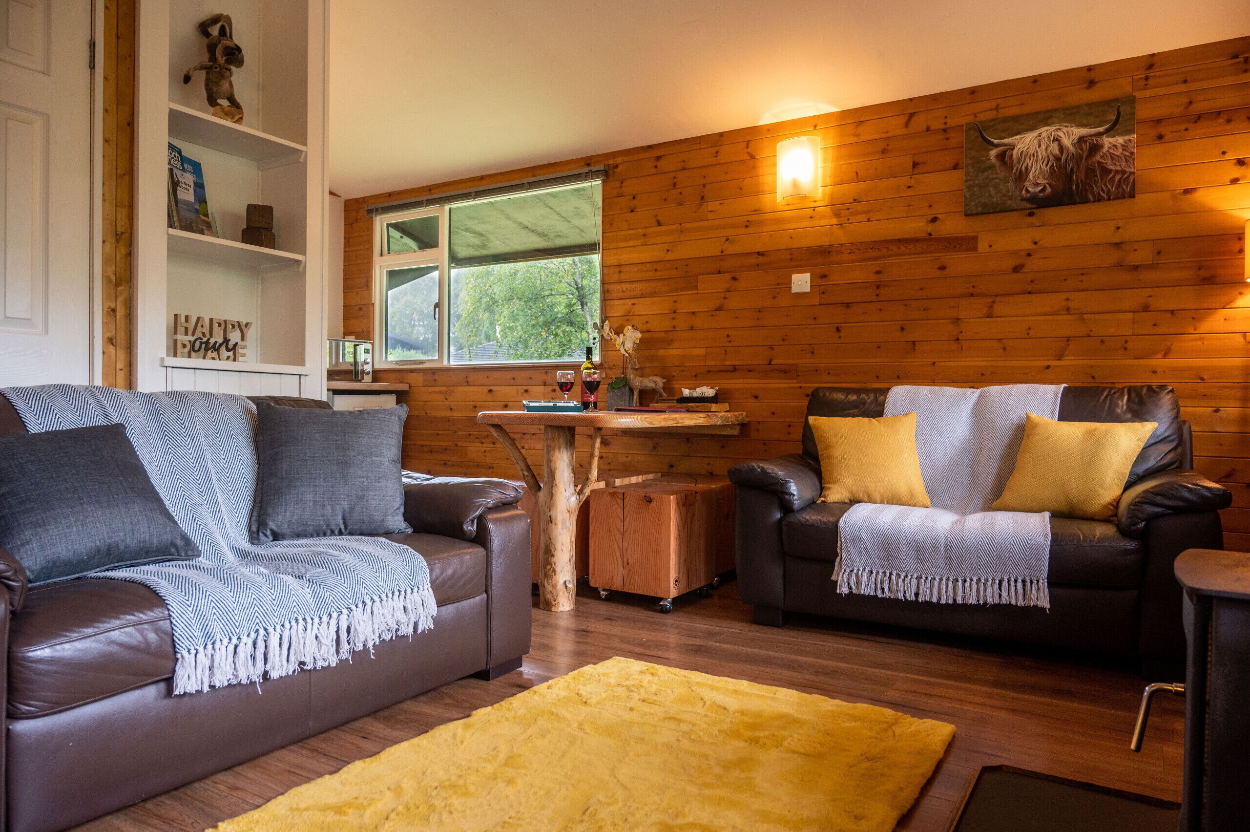 电视、壁炉、DVD 播放器