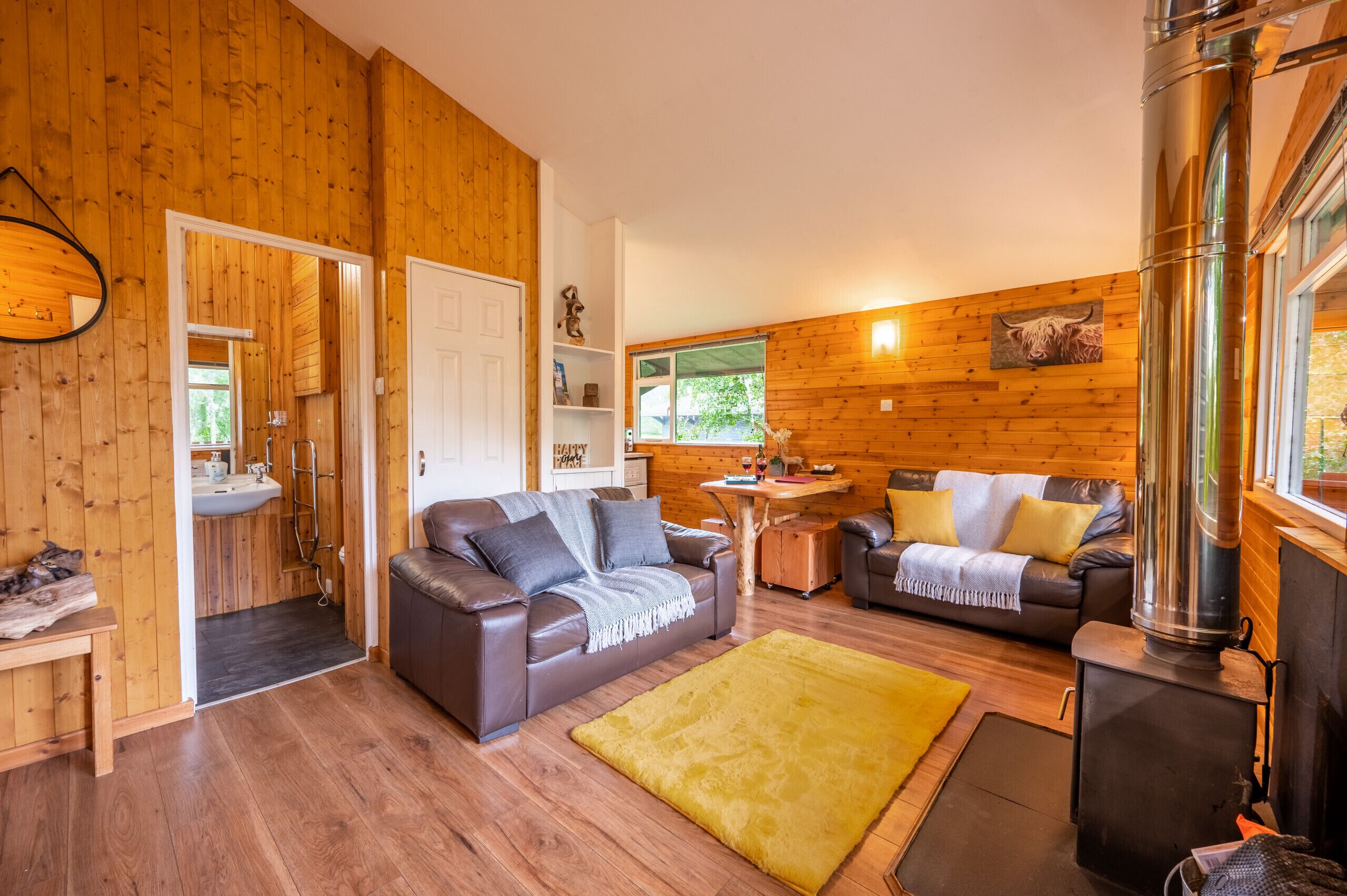 TV, fireplace, DVD player