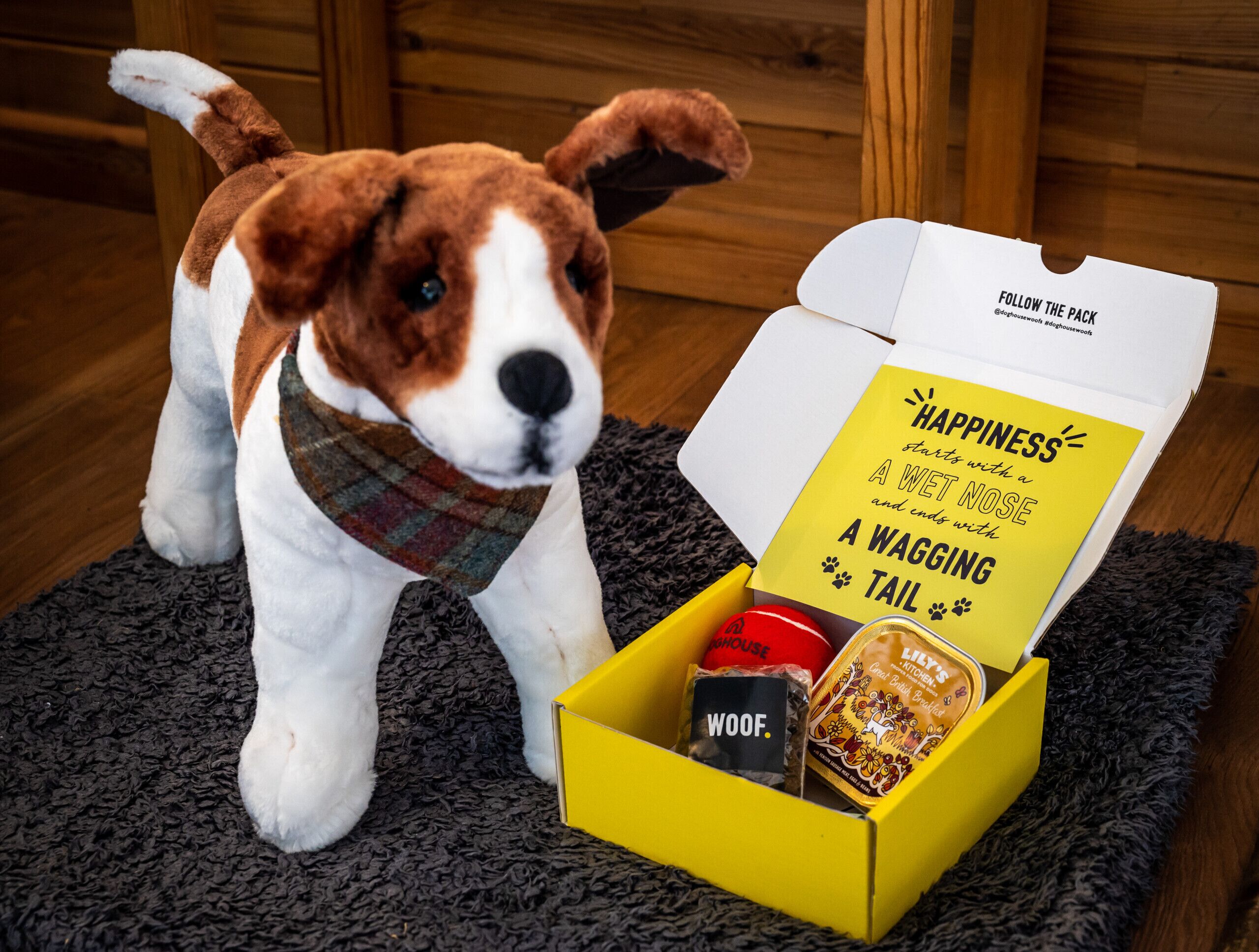 A dog with a bandana, a yellow box with a message, and a red object.