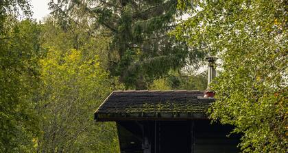 Thistle Cabin at Ancarraig Lodges, Loch Ness