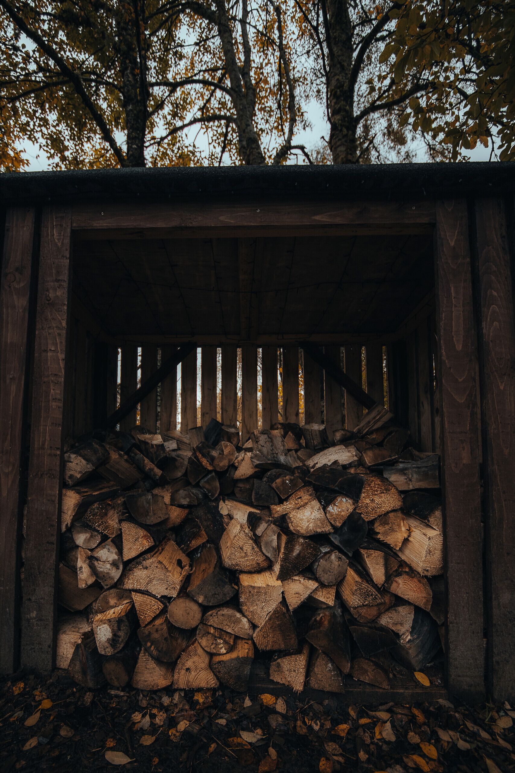 Una pila di legna da ardere in una struttura di legno con listelli verticali.