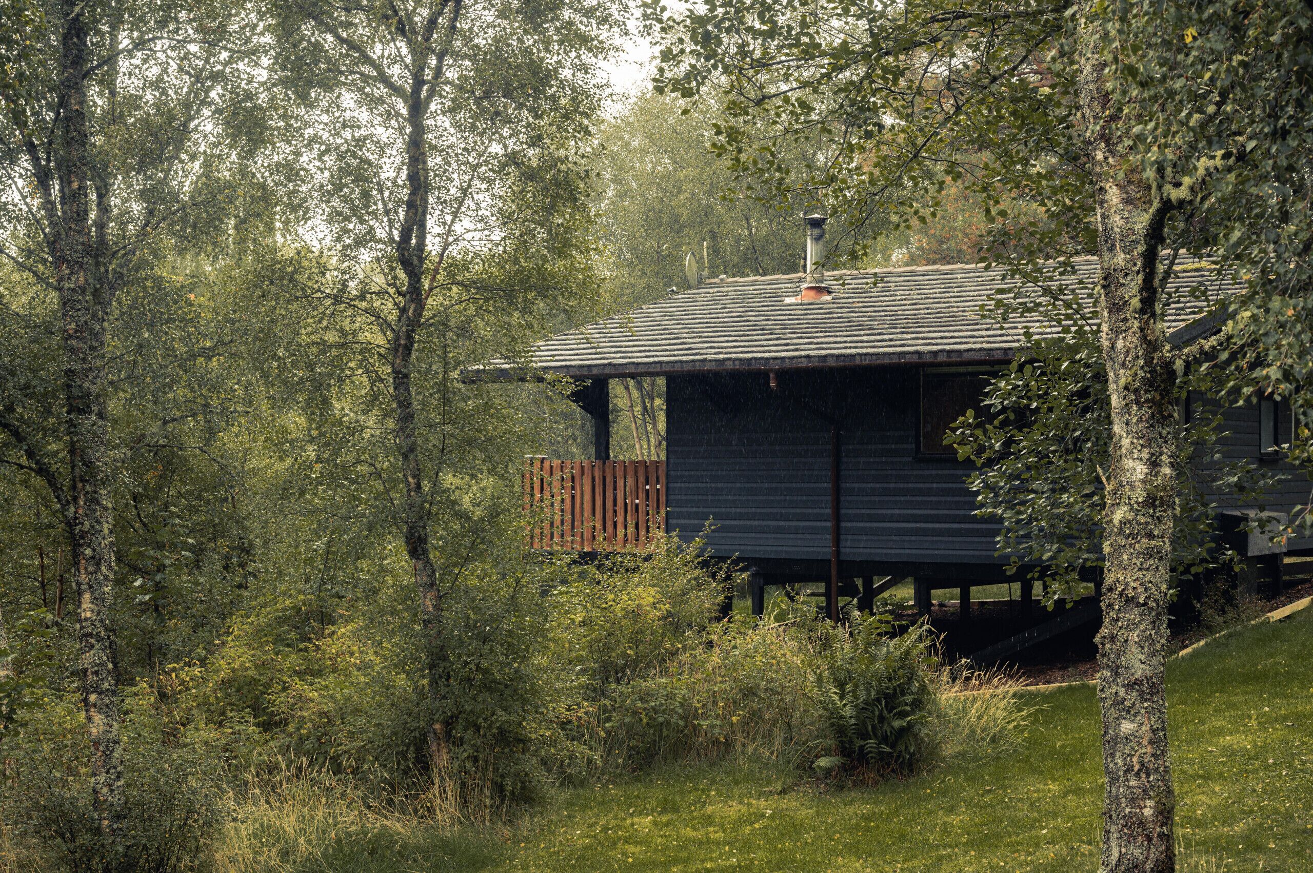 Una cabaña rodeada de un bosque denso, con una terraza de madera y una chimenea.