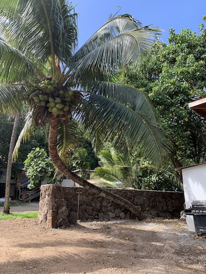 Create one of the most unique experiences on the beautiful Lā’ie country side.
