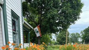 A pathway flanked by vibrant orange flowers and green foliage, leading to a building with a flag.