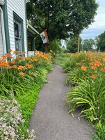 A pathway flanked by vibrant orange flowers and green foliage, leading to a building with a flag.