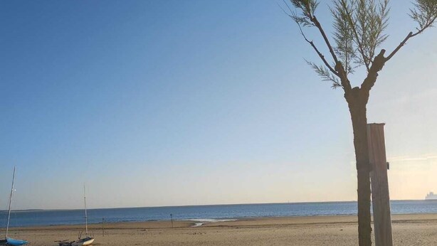 Une plage avec un ciel dégagé, un poteau en bois et des bateaux sur le sable.
