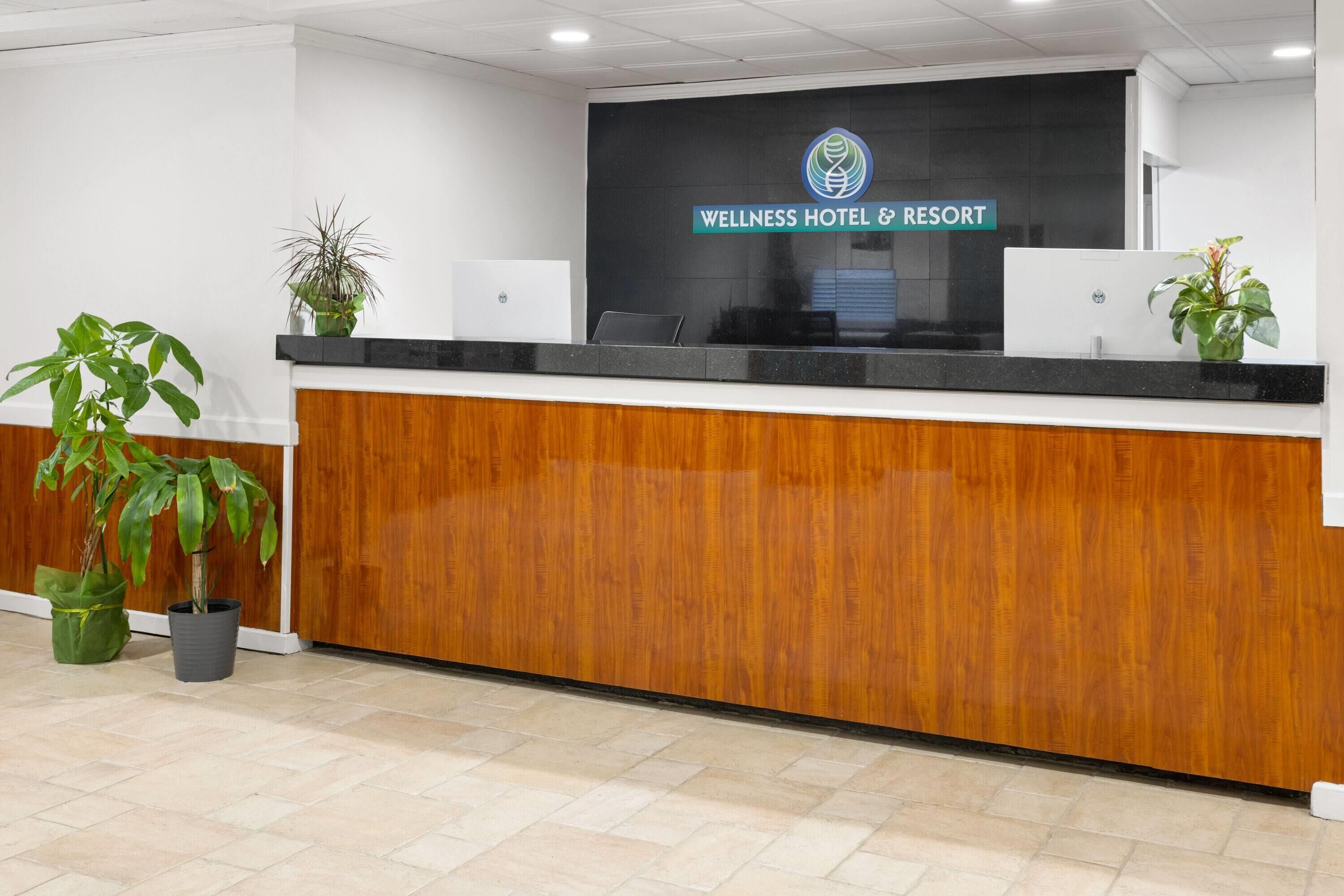 A reception desk with a logo, a wooden counter, and potted plants.
