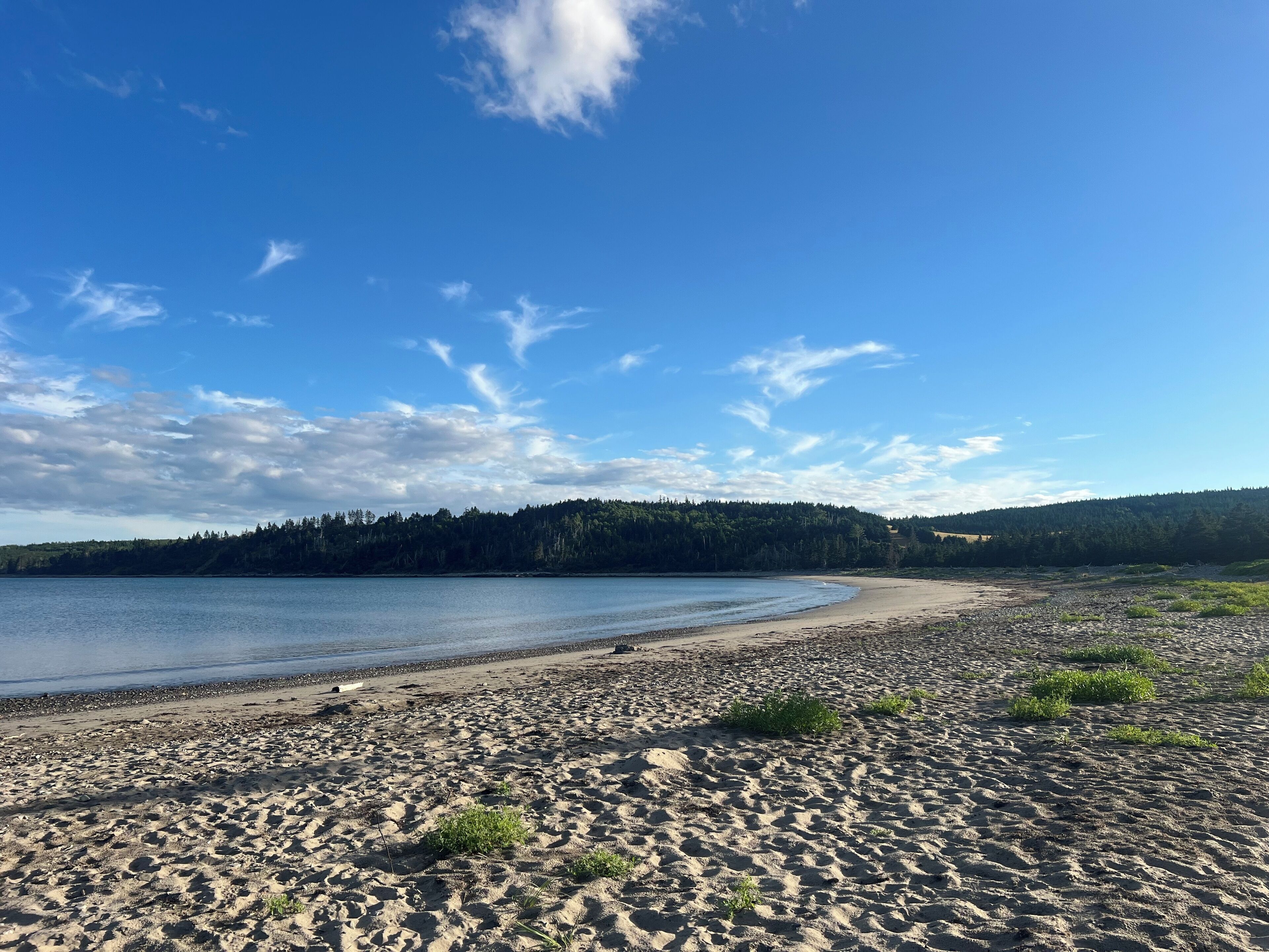 Plage, serviettes de plage