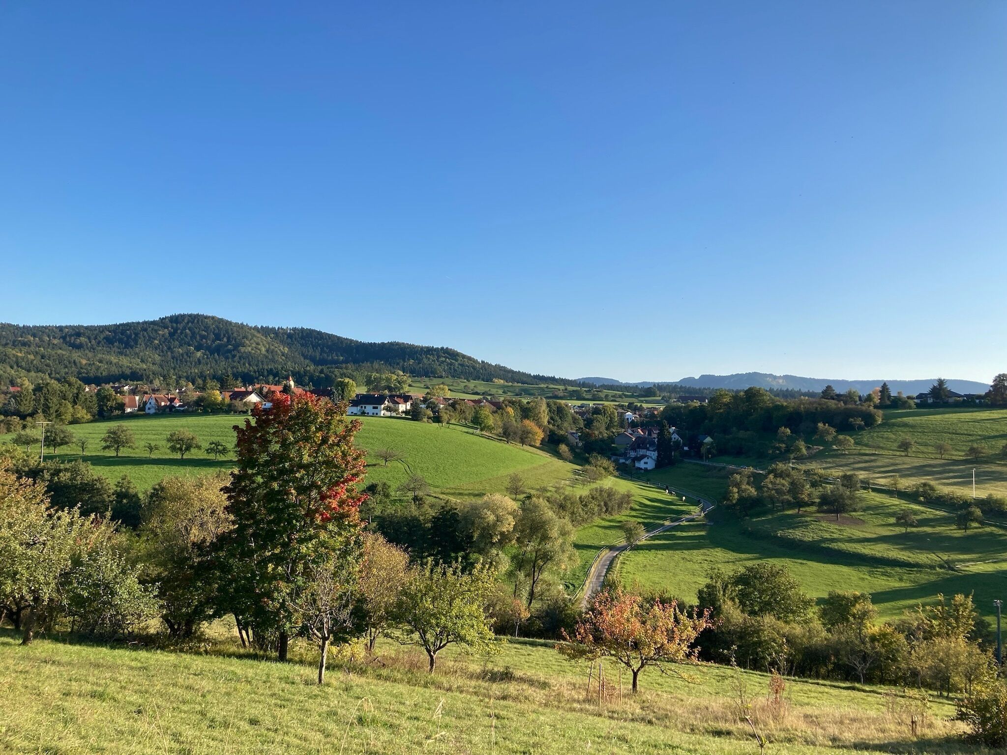 A rural landscape with rolling hills, a clear sky, and scattered houses.