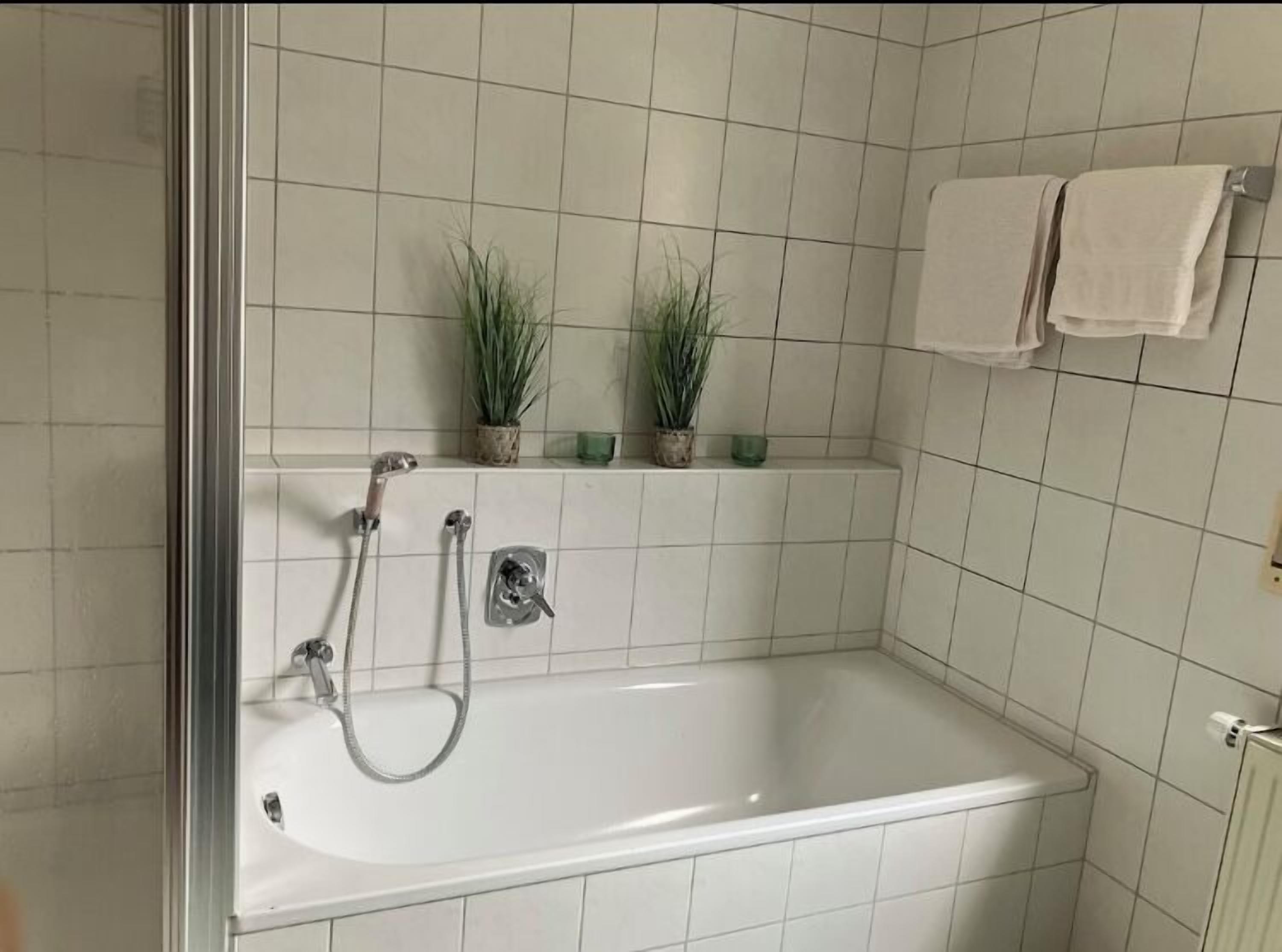 Bathtub, toilet paper