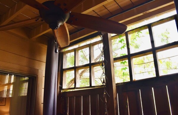 A room with a wooden ceiling, a ceiling fan, and large windows with a view of greenery outside.