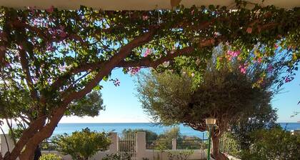 Panoramic, Independent by the sea direct access to the beach