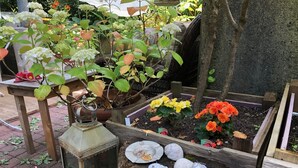 Ein Garten mit verschiedenen Pflanzen, einem Holztisch und einer Laterne.