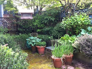 Um jardim exuberante com diversos vasos de plantas, uma cadeira de madeira e uma estrutura de madeira ao fundo.
