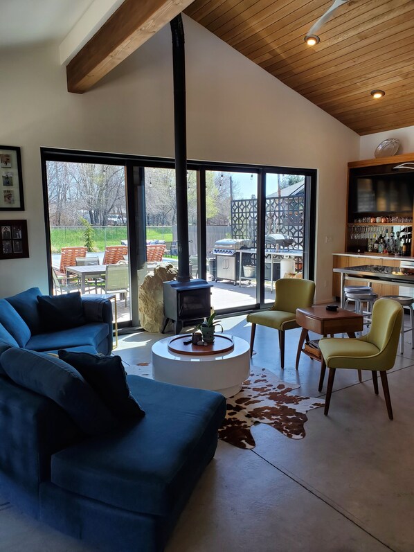 TV, fireplace, books