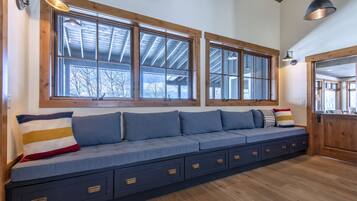 TV connectée, cheminée, lecteur de DVD, livres