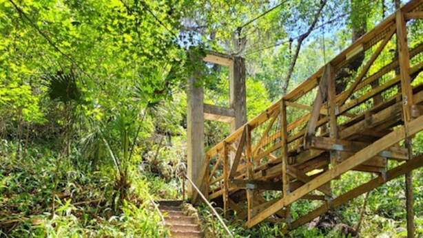 Un escalier en bois mène à un pont également en bois, situé dans une zone boisée.
