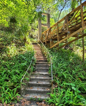 A wooden staircase leading up to a wooden bridge in a forested area.