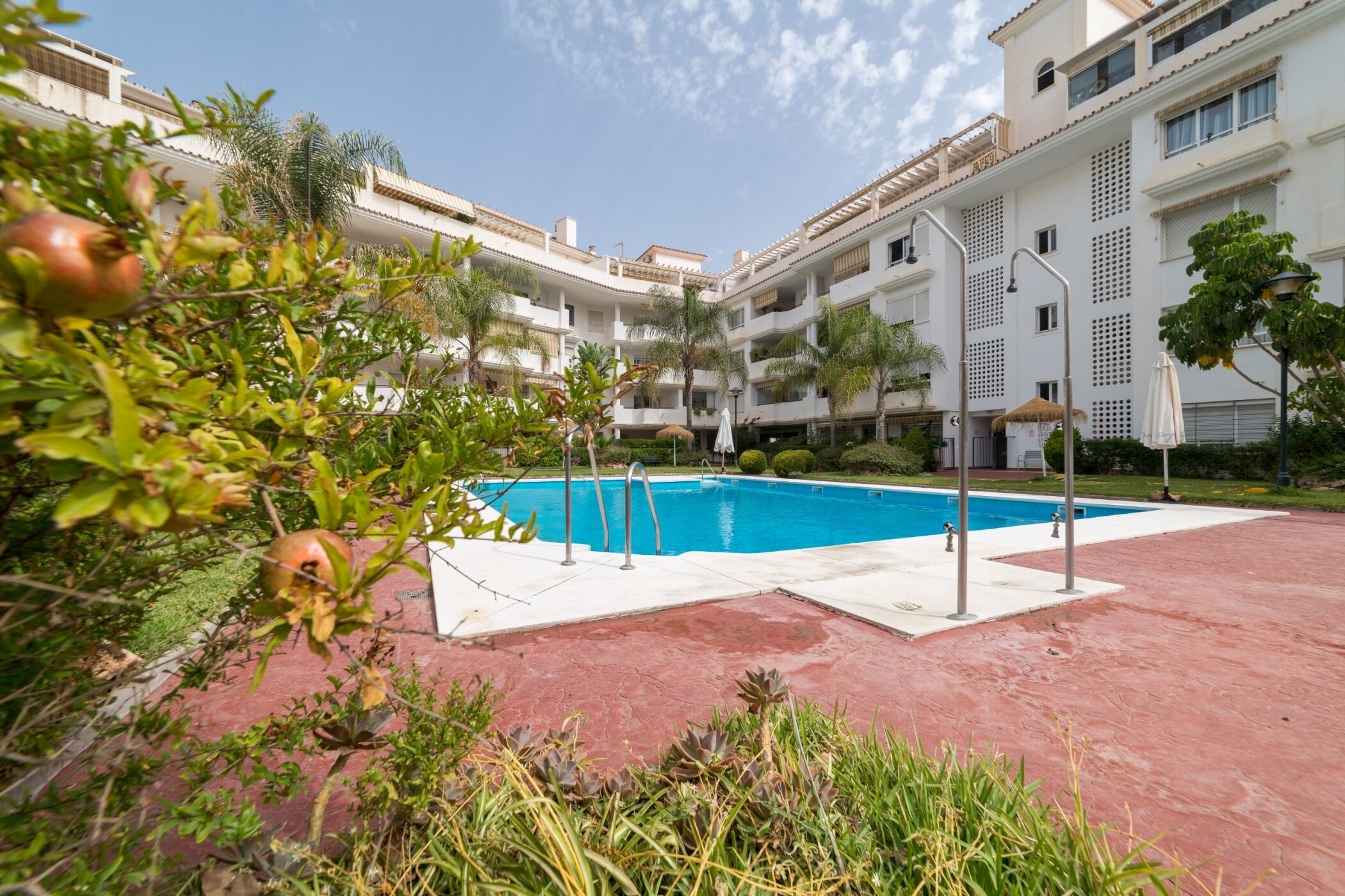 A swimming pool surrounded by a courtyard with a red floor, palm trees, and a white building with balconies.