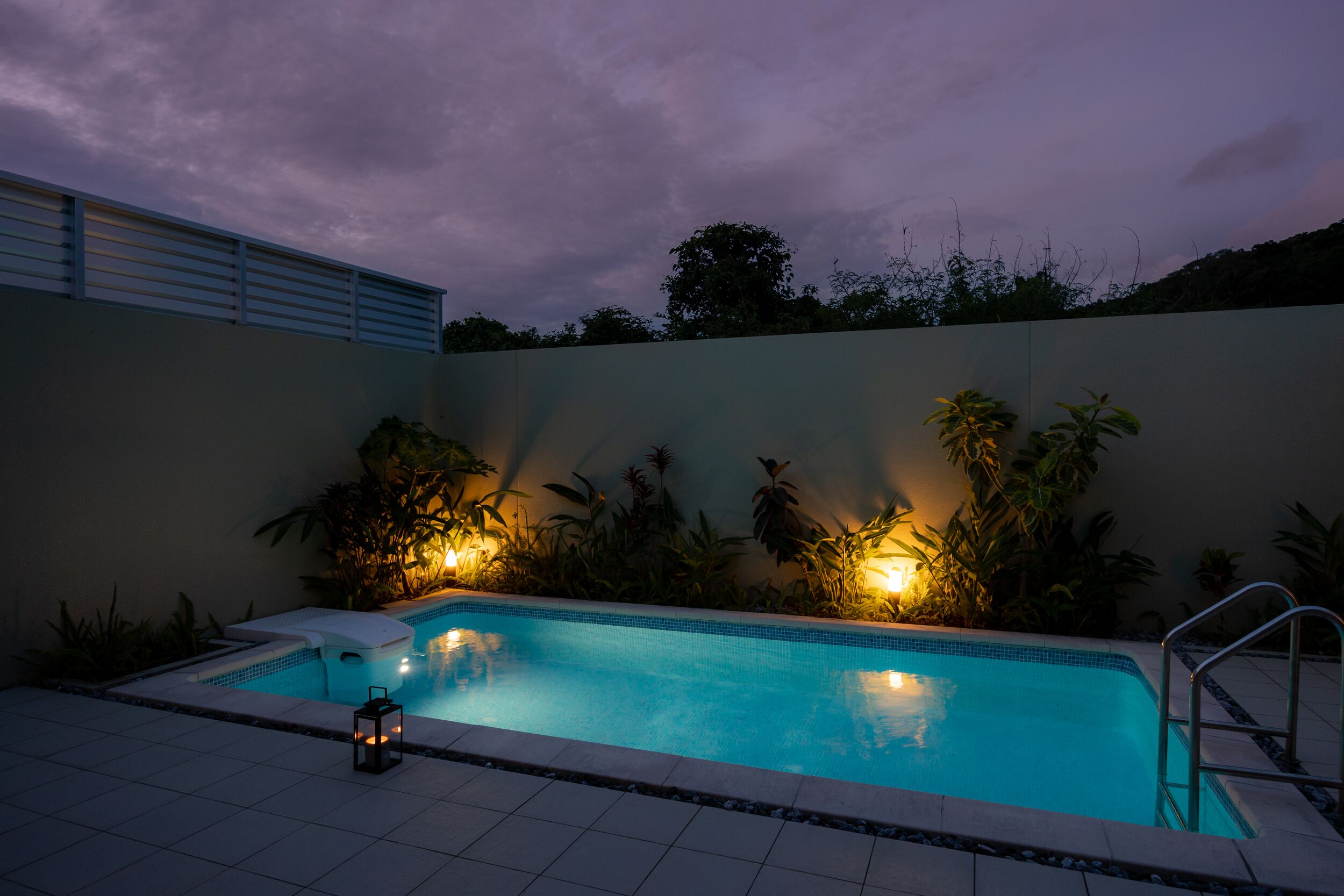Une piscine dotée d’une plage carrelée, entourée de plantes et d’un mur.