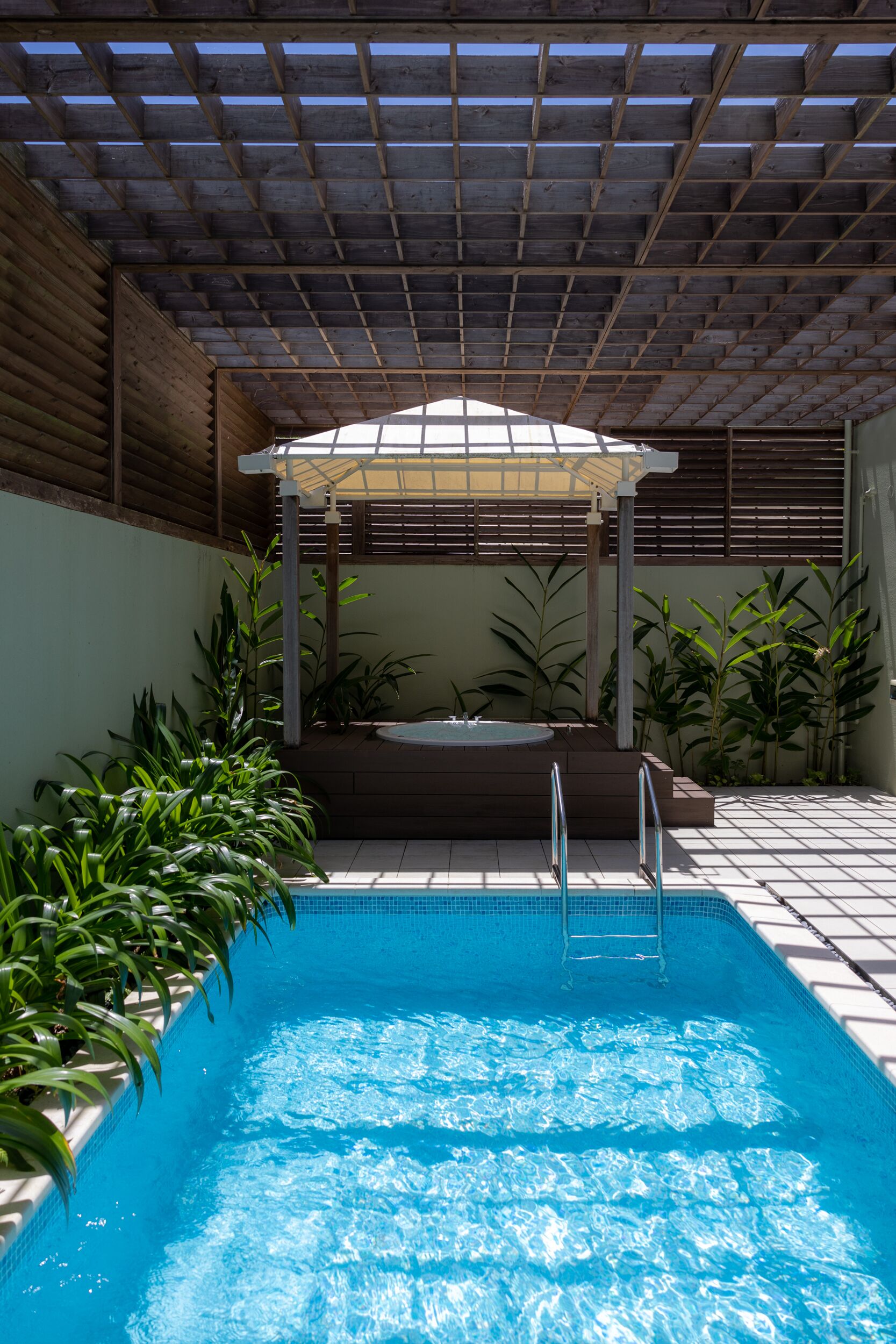 A swimming pool with a wooden pergola overhead, surrounded by potted plants.